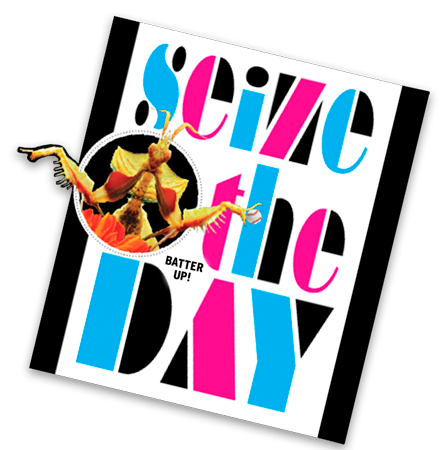 Portfolio-seize2.png